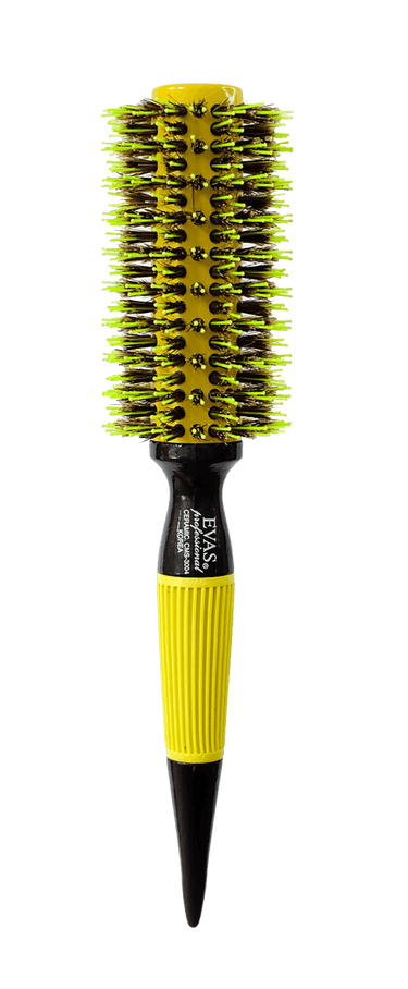 Evas CMS 3004